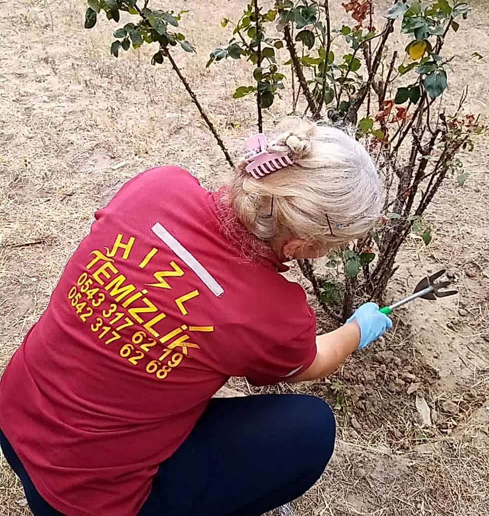 Bahçe Bakımı